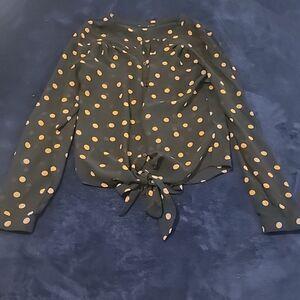 Polka-dot Long-sleeved Sheer Blouse